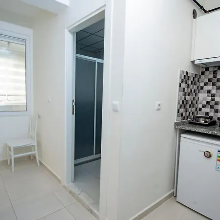 Arney 3* إسكيشير